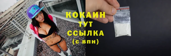 прущие грибы Абинск