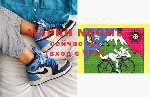 прущие грибы Абинск