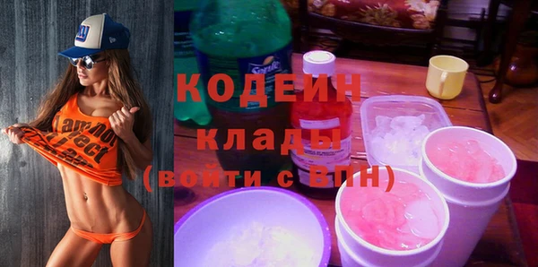 прущие грибы Абинск