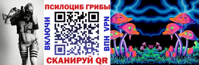 Псилоцибиновые грибы Psilocybe  купить наркотики цена  даркнет клад  Заволжье 