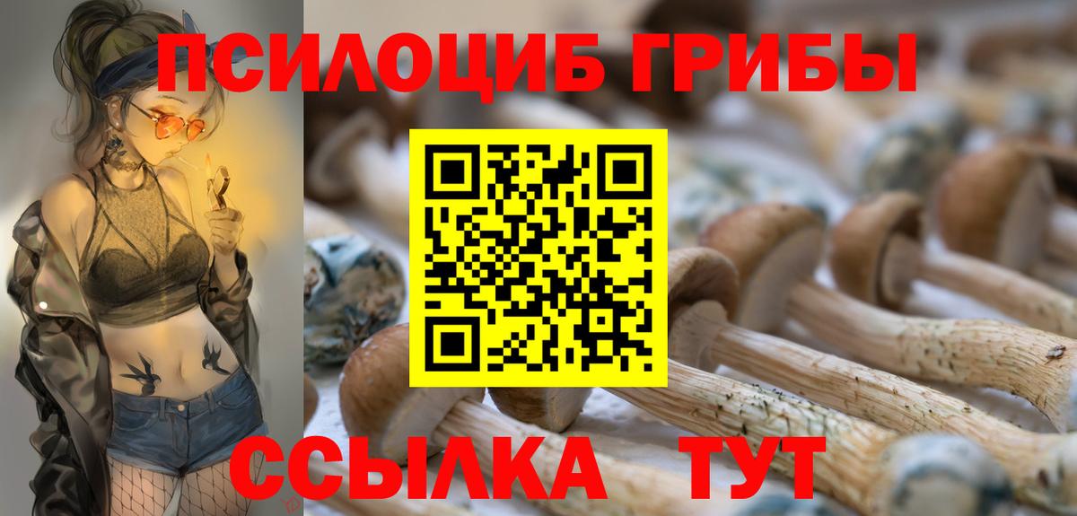 Псилоцибиновые грибы ЛСД Заволжье